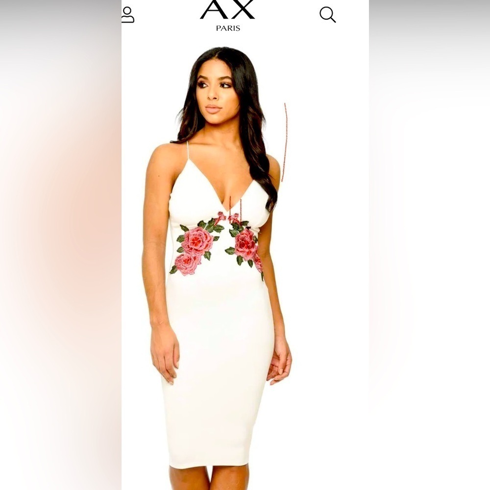 NWT AX Paris bodycon dress